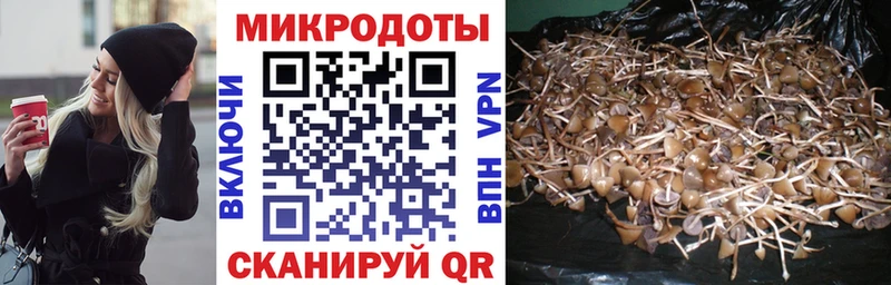 Галлюциногенные грибы Cubensis  Калязин 